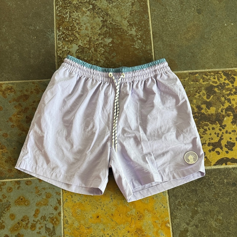 Chubbies Lilac and Aqua Swim Trunks